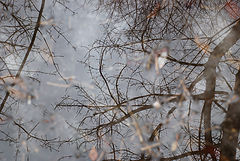 photo "***"