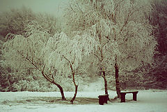 photo "waiting"