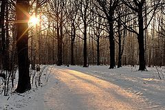 photo "January"