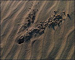 photo "We are not invided to enter inside."