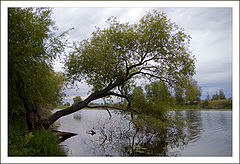 фото "над водой"