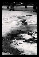 фото "Московская зима"