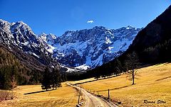 photo "Road to mountains"