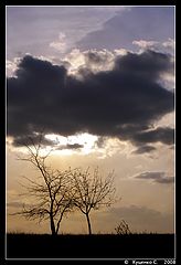 фото "***"