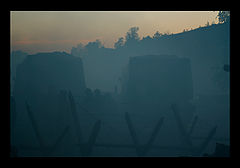 photo "***"