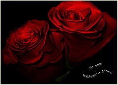 фото "***"