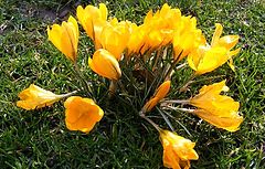 фото "Spring time."