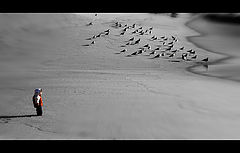 photo "Children eyes"