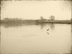 photo ".voron"