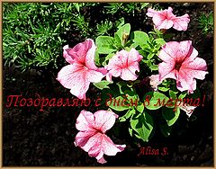 photo "***"