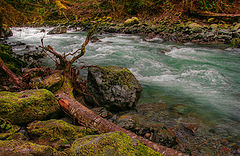 photo "Sea colors in a mountain river"