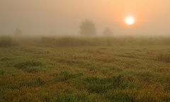 photo "***"