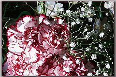 photo "***"