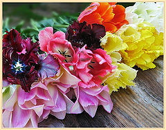 photo "with Women's day!"