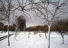 фото "Туман"