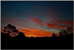 фото "Monterey Sunrise"