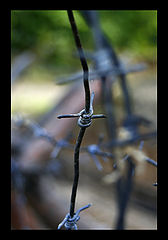 photo "***"