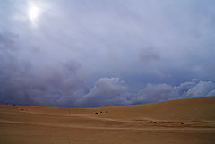 photo "***"