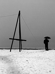 photo "Alone"