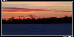 фото "Good Morning"