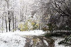 photo "December"