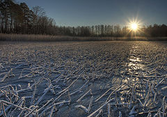 photo "***"