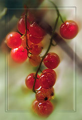 photo "***"