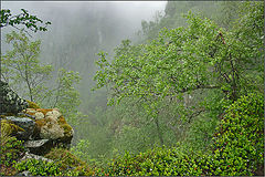 photo "Landscape of the clouds"