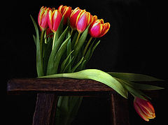 photo "Mourning"