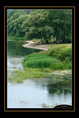 photo "Summer landscape"