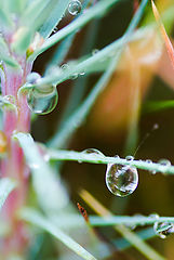 photo "abstraction with drops"