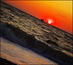 photo "***"