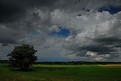 фото "clouds"