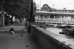 photo "***"