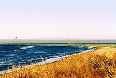 фото "как вода сливается с землей"