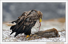 photo "Easter Dinner"