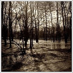 фото "Весна в городском парке"