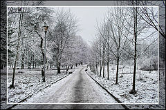 photo "walk on a park"