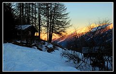 фото "Golden rays"