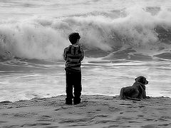 photo "The Boy... the Dog...and the Sea..."