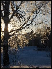 photo "***"