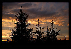 photo "***"
