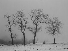 photo "***"