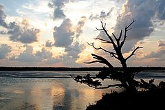 фото "Sunset"