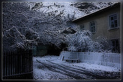 photo "***"