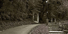 photo "none"