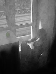 фото "этюд с зелёным яблоком"