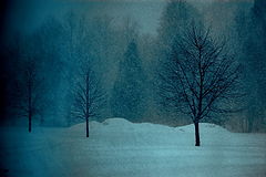 фото "Lapin Snow"