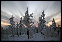 photo "***"