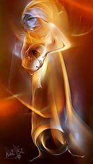 photo "8272 ("The painting of light - 2008")"